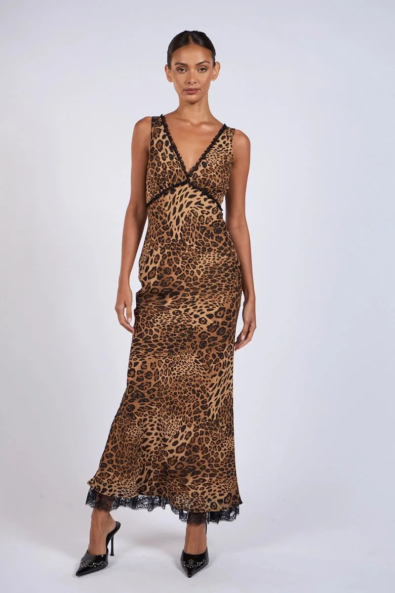 Leopard Print Black Lace Midi Dress